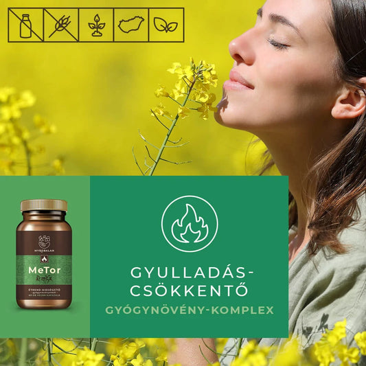 Myrobalan MeTor gyulladáscsökkentő gyógynövény-komplex 60 db vegán kapszula 100% gyógynövényőrleménnyel