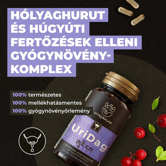 Myrobalan UriDag hólyaghurut és húgyúti fertőzések elleni gyógynövény-komplex 60 db vegán kapszula 100% gyógynövényőrleménnyel